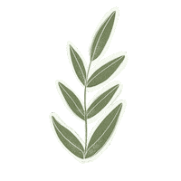 designonthemoon illustration design nature flowers Sticker