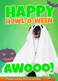 Halloween Pets GIF by PetJuvenate - PJ