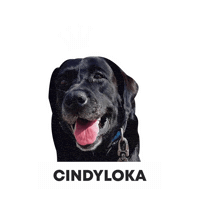 Csclkcrew Sticker by Cuscoloko