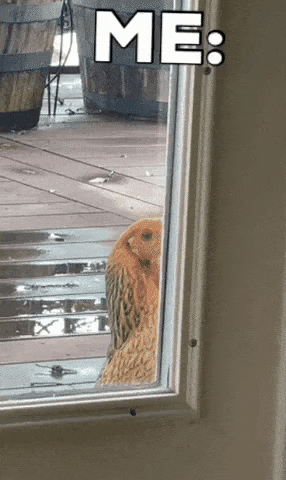 Chicken Im Outta Here GIF by TahKole Bio Integration