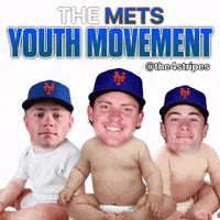New York Mets Baseball GIF