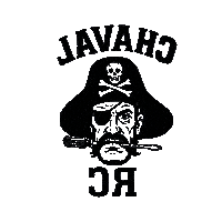 Ari Sticker