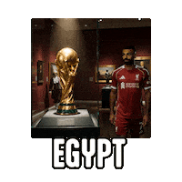 World Cup 2026 Salah Sticker