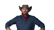 Cowboy Celebrating Sticker by INSP