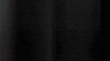 Football Sport GIF by SK Sturm Graz