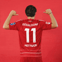Soccer Celebrate GIF by Fortuna Düsseldorf