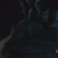 Obsession GIF