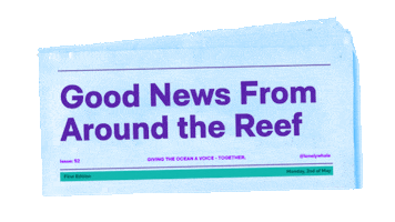 Now Streaming Climate Change Sticker by Lonely Whale