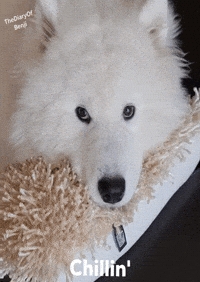 Thediaryof Benji GIF