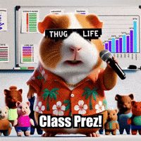 Guinea Pig Classroom GIF by Guinea Gambino