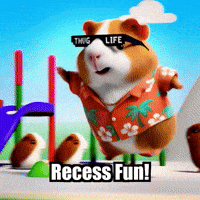 Guinea Pig Play GIF by Guinea Gambino