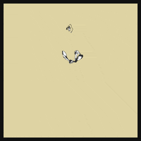 submission GIF by The Savannah .GIF Festival