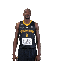Basket Sticker by Stade Rochelais