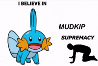 Mudkip GIF
