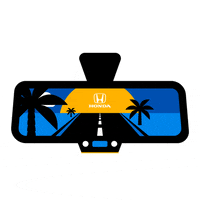 Palm Trees Car GIF by Honda