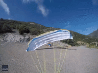 Swooping Bird of Prey Narrowly Avoids Mid-Air Collision With Paraglider