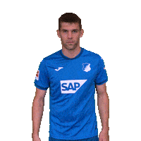 Sticker by TSG Hoffenheim
