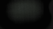 football soccer GIF by TuS Haltern