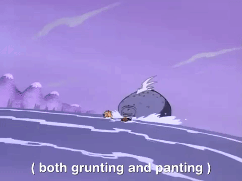 angry beavers nicksplat GIF