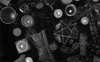 black and white witch GIF