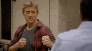 Cobra Kai GIF by NETFLIX
