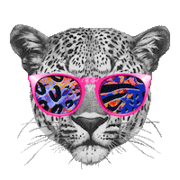 Pink Makeup Sticker by L.A. Girl