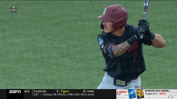 gostanford  GIF