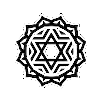 Festival Love Sticker by Casa Nostra Trancoso