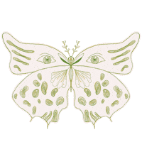 Lura_jimenez eyes butterfly ojos mariposa Sticker