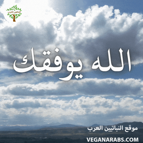Middle East Wow GIF by VeganArabs