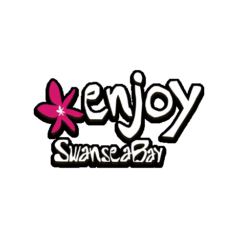 visitswanseabay giphygifmaker wales welsh swansea Sticker