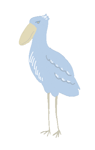 ハシビロコウ Sticker
