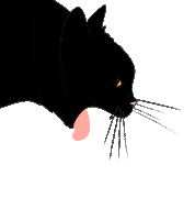 New Year Cat Sticker