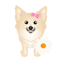 Flowers Daisy Sticker by zoopeez