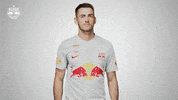 Football Thumbs Up GIF by FC Red Bull Salzburg