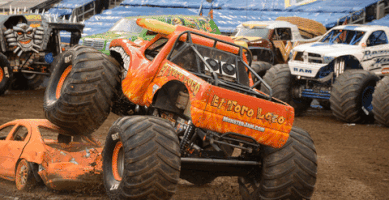 monsterjam  GIF