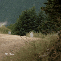 Wrc GIF by FIA World Rally Championship