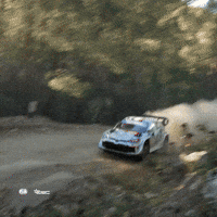 Wrc GIF by FIA World Rally Championship