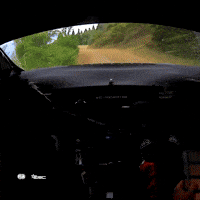 Wrc GIF by FIA World Rally Championship