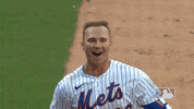 Happy Ny Mets GIF by New York Mets
