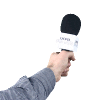 Interview Itv Sticker by AurelUCPA