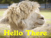 Good Morning Hello GIF by Sealed With A GIF