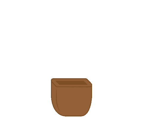 elixabetaduriz giphyupload plant cactus cacti Sticker