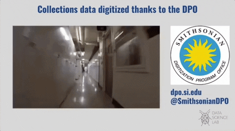 jenniferhorne7c70db32126742a3ad3b87966039ac99 giphygifgrabber smithsonian datacentril ai plant scanning GIF