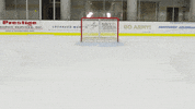 Happy Moon Walk GIF by GoArmyWestPoint