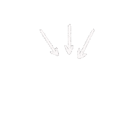 Arrows Myplan Sticker