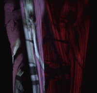 kate moss model GIF by SHOWstudio