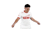 jorge mere soccer Sticker by 1. FC Köln