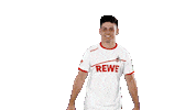 jorge mere soccer Sticker by 1. FC Köln