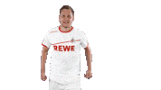 matthias bader soccer Sticker by 1. FC Köln